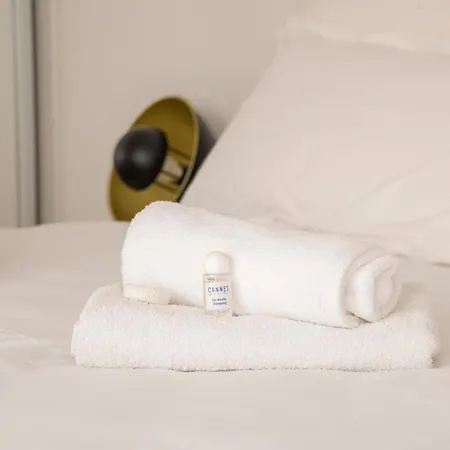 Apartment Modern And Renovated Next To The Croisette And Palais Des Festivals *