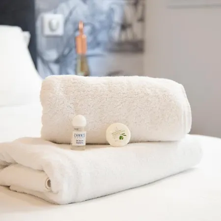 Modern And Renovated Next To The Croisette And Palais Des Festivals *